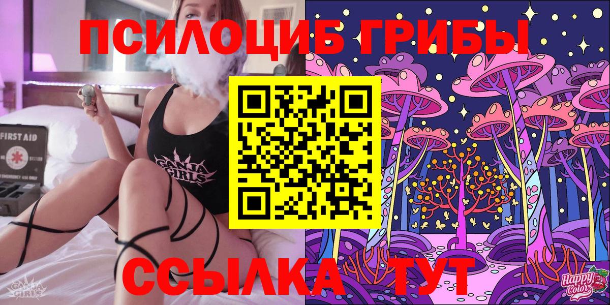 Псилоцибиновые грибы Psilocybine cubensis Россия